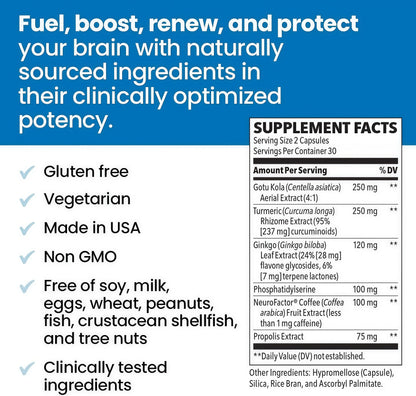 NeuroQ Memory & Focus | Formulated by Neurologist Dr. Dale Bredesen | Addresses All 4 Causes of Cognitive Decline | Ginkgo Biloba, Phosphatidylserine, Gotu Kola, Coffee Fruit, Turmeric & Propolis